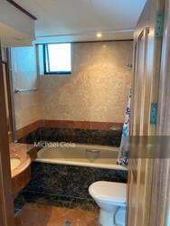 Spring Grove (D10), Condominium #258728461